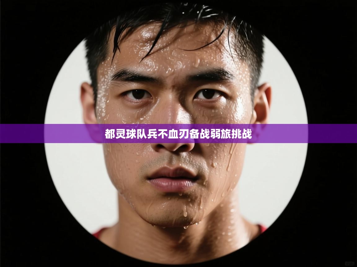 都灵球队兵不血刃备战弱旅挑战  第1张