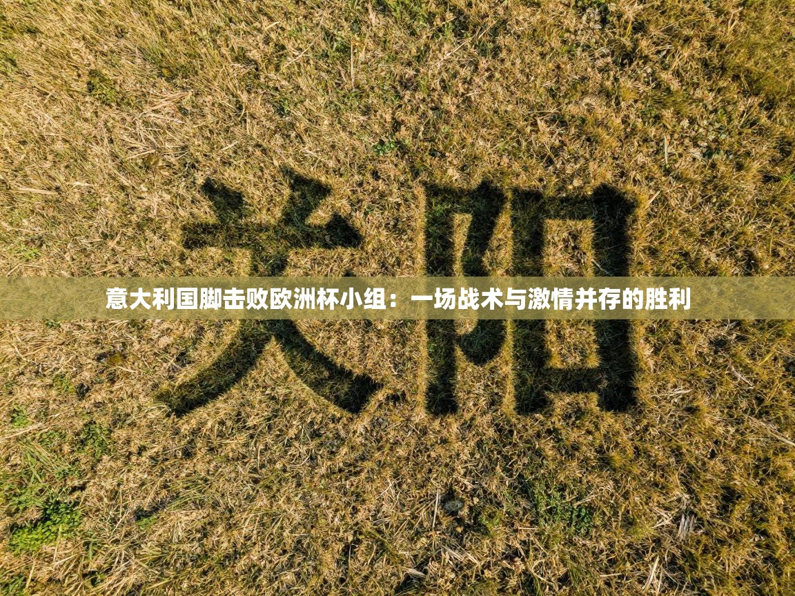 意大利国脚击败欧洲杯小组:一场战术与激情并存的胜利 第1张