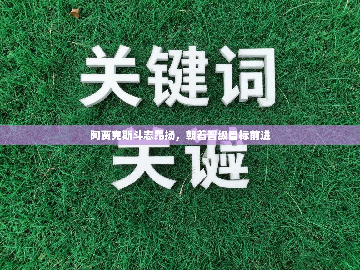 阿贾克斯斗志昂扬，朝着晋级目标前进  第2张